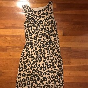 Loft Leopard Dress
